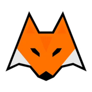 LIS-SKINS logo