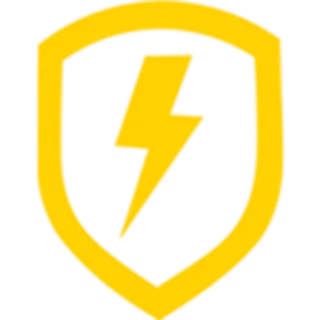 RAPIDSKINS logo